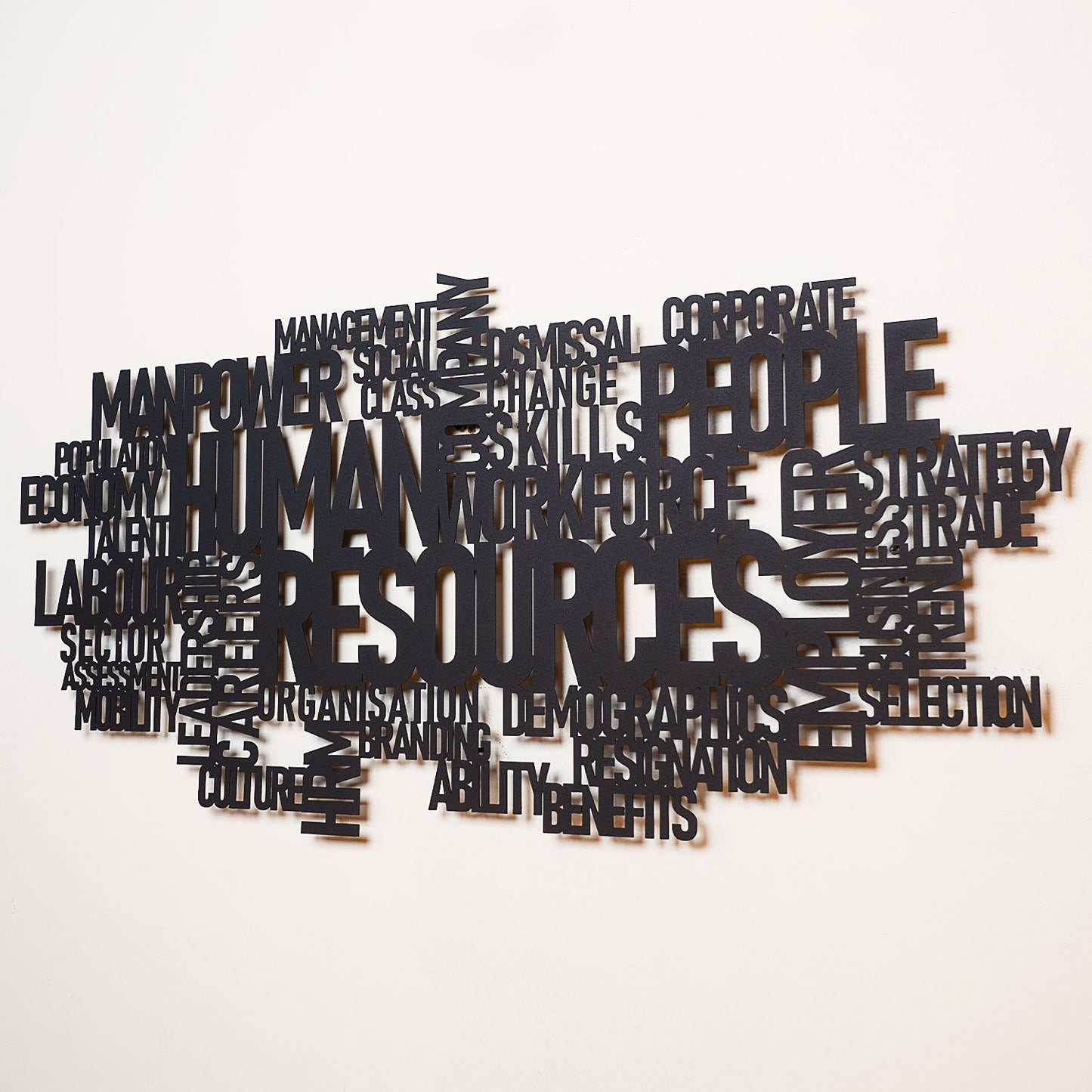 Human Resources Metal Wall Art - APT563
