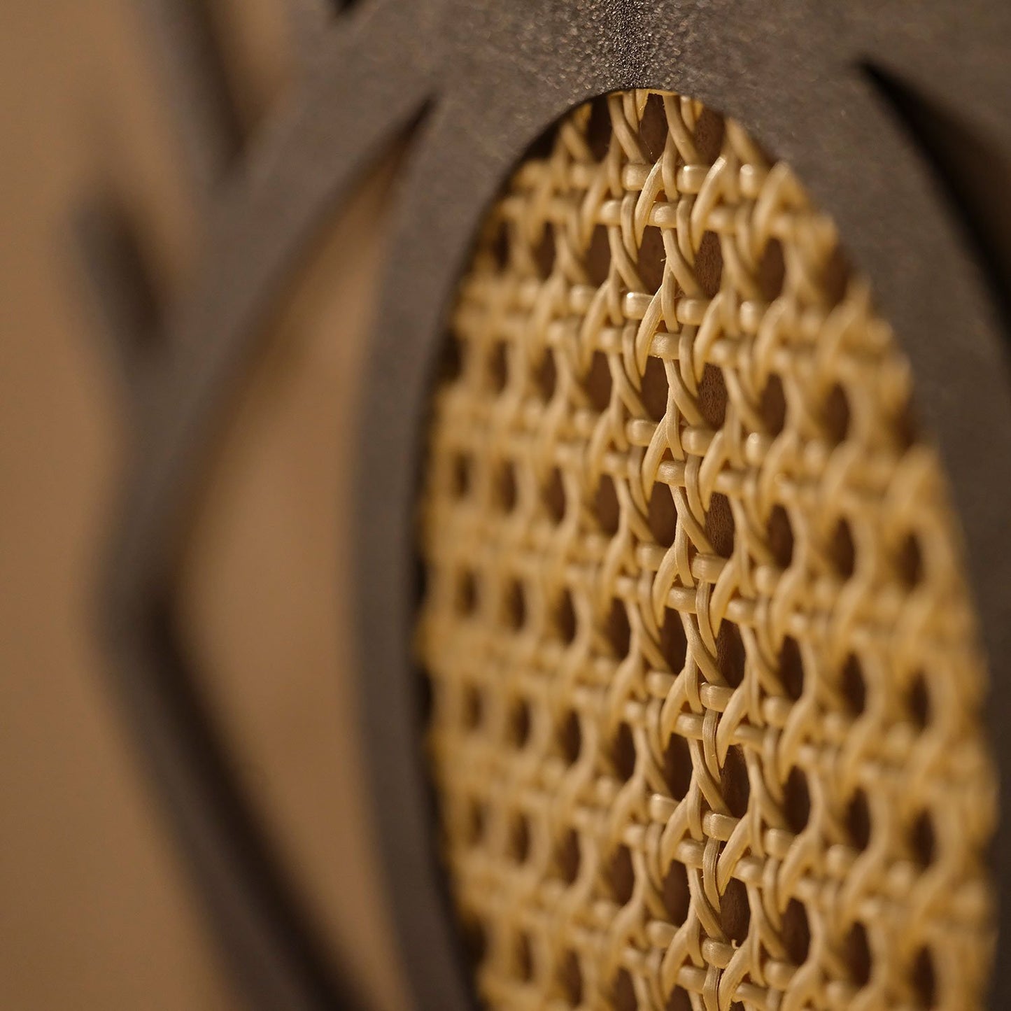 Rattan Eyes Metal Wall Hanger - APT527